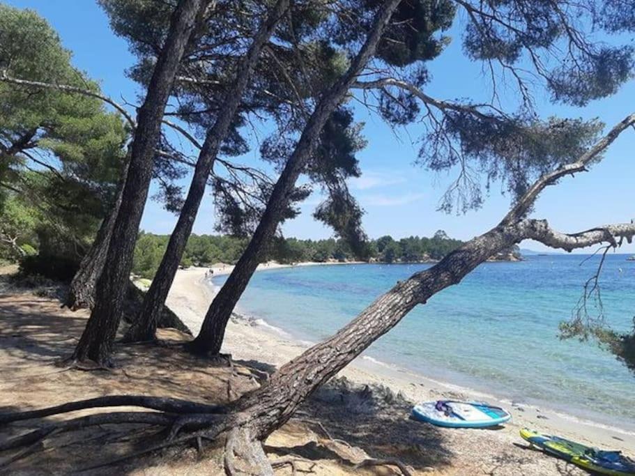 Studio Cabine Climatise 800 M De La Plage Et Des Commerces Bormes-les-Mimosas Εξωτερικό φωτογραφία